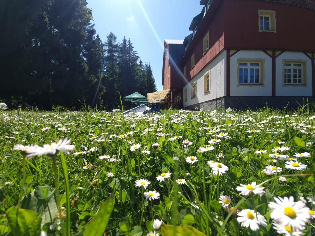 Hotel Lesni Chata Kořenov Kültér fotó