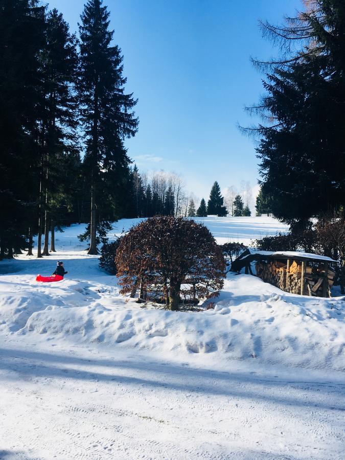 Hotel Lesni Chata Kořenov Kültér fotó