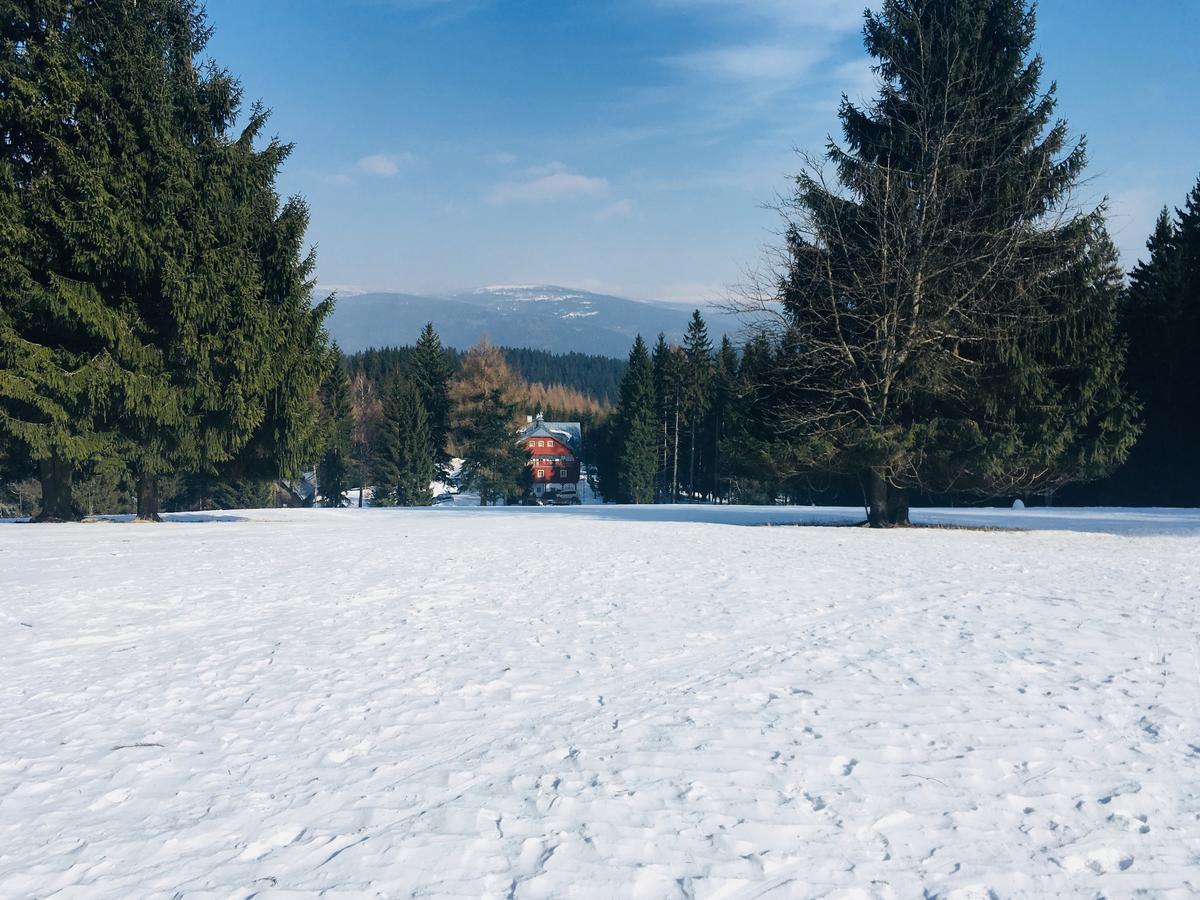 Hotel Lesni Chata Kořenov Kültér fotó