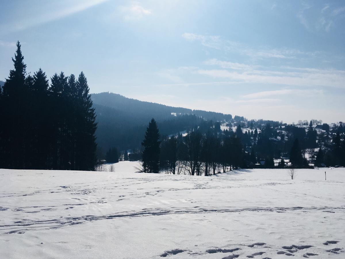 Hotel Lesni Chata Kořenov Kültér fotó